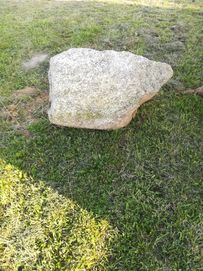 Duży kamień,głaz polny