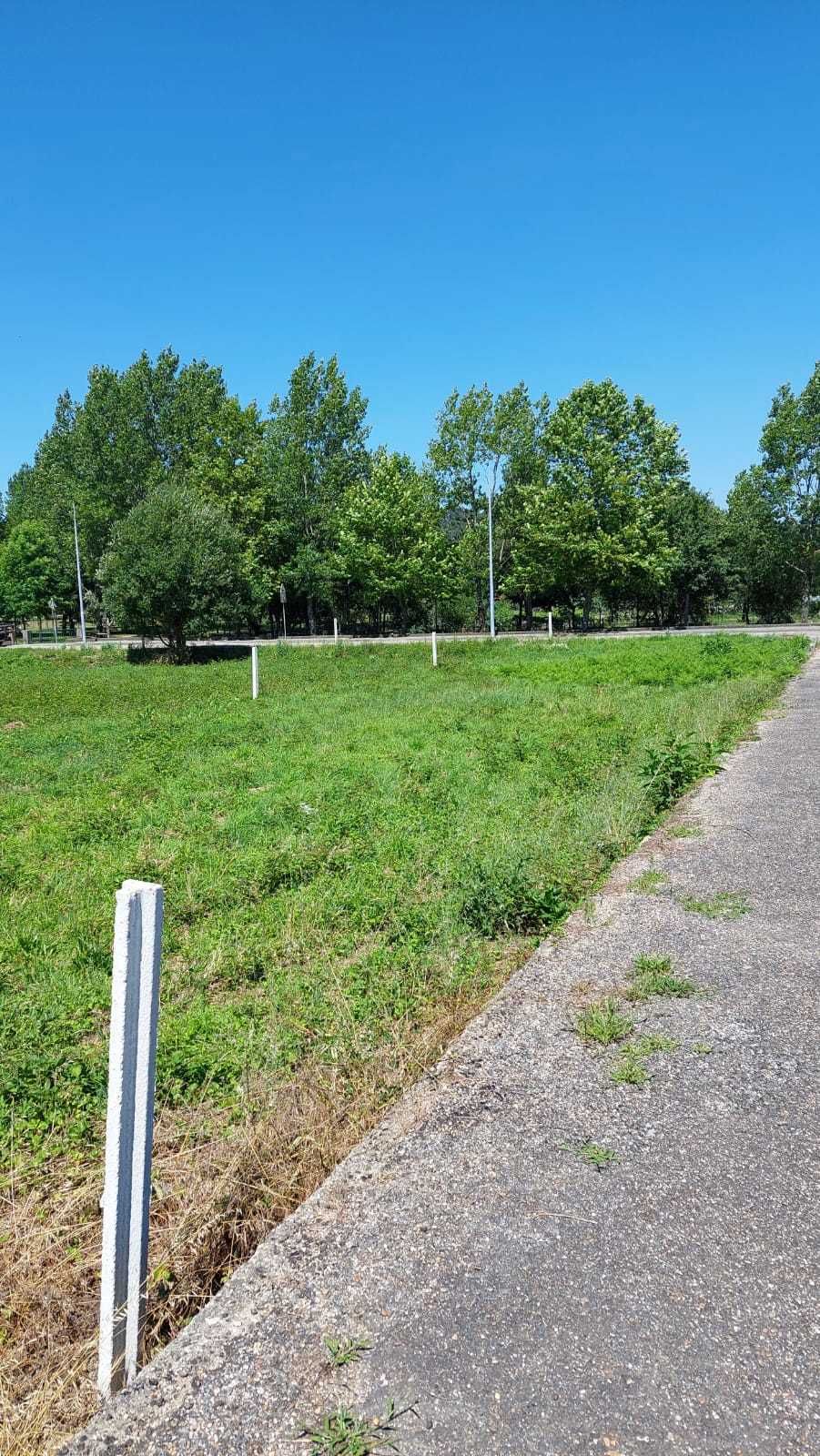 Terreno com Viabilidade Construtiva.