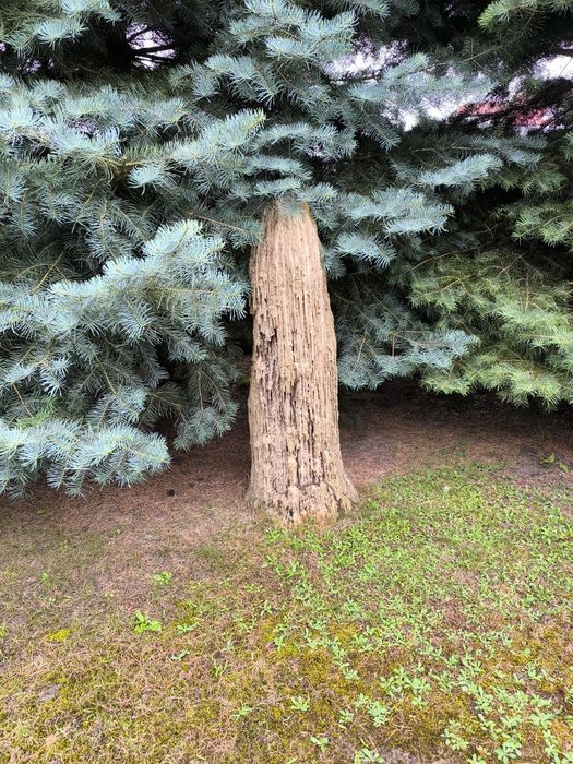 Stalagmity skały kamienie ozdoba ogrodu stalagmit Opole