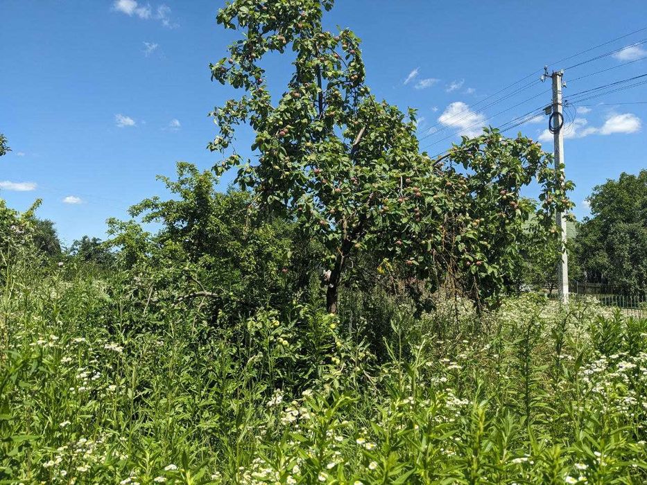 Продається готовий будинок у с.Крилос (2)