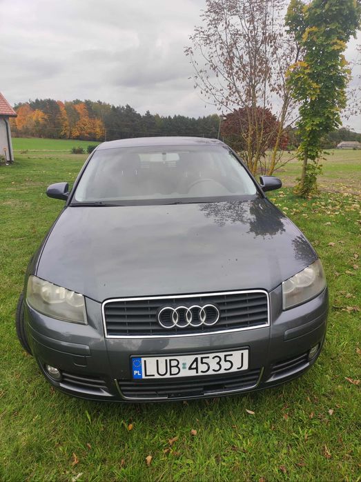 Audi a3 8p 1.6 MPI Benzyna 2003rok !