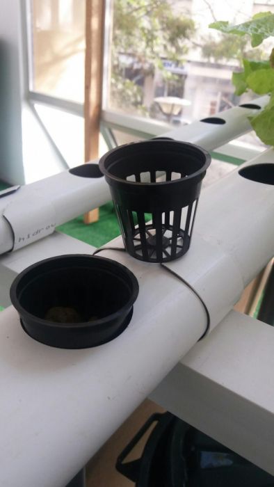 10 Vasos 5x5cm para hidroponia ou plantas de aquário