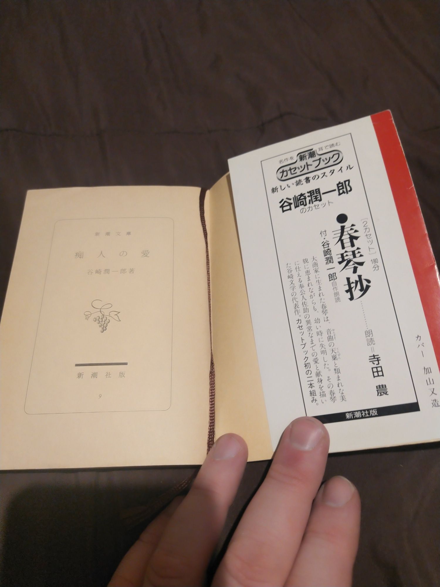 Ciekawostka - książka po japońsku: Dzika miłość - Junichiro Tanizaki