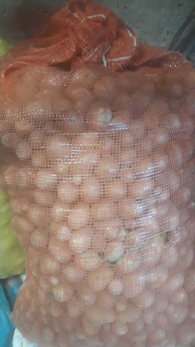 Sprzedam ziemniaki odpadowe