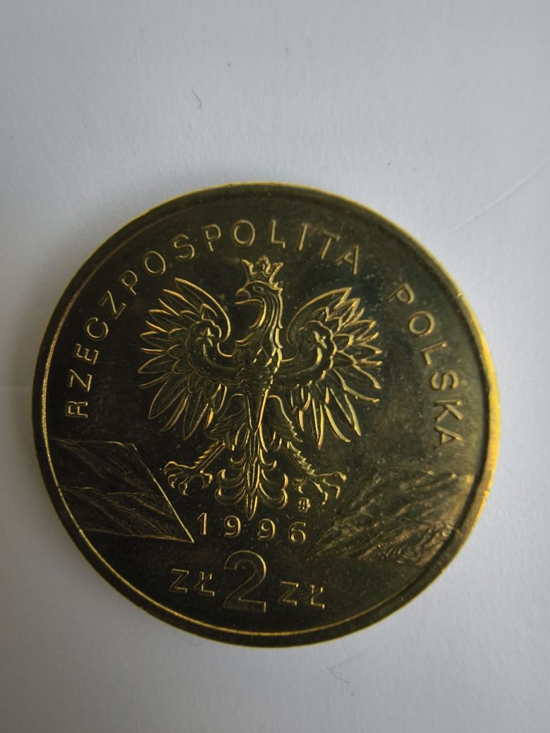 2 złote 1996 rok jeż