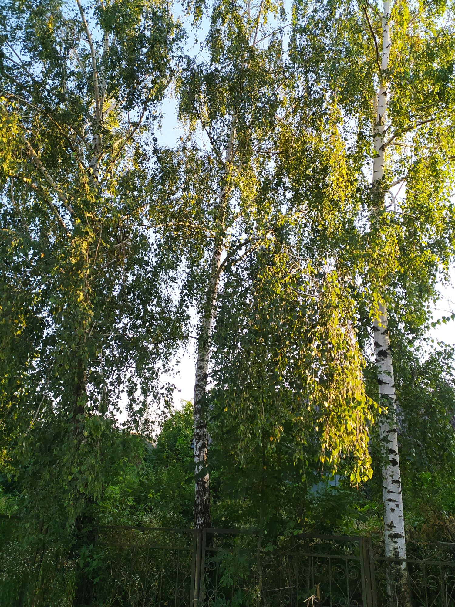 Продам або обміняю1 к-у квартиру (р-н ТЦ Політон) і дачу на недобудову