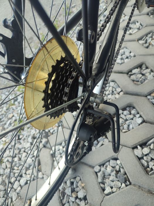 Rower męski WORTEX TRAWEL 200