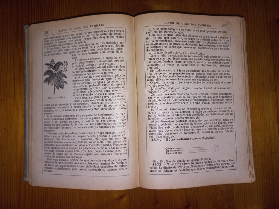 Livro de ouro das famílias