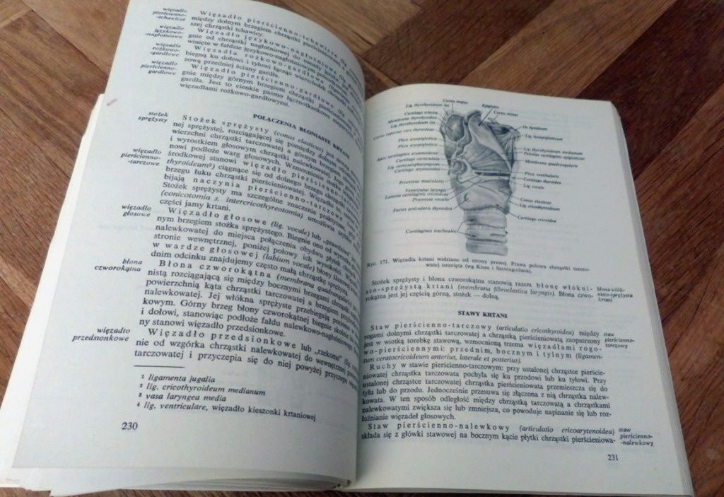 ANATOMIA GŁOWY DLA STOMATOLOGÓW 1985 wyd. V podręcznik dla dentystów