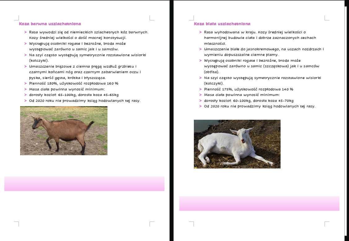 Notatki technik weterynarii Rol.11, Pokrój, maści, rasy, typy użytkowe