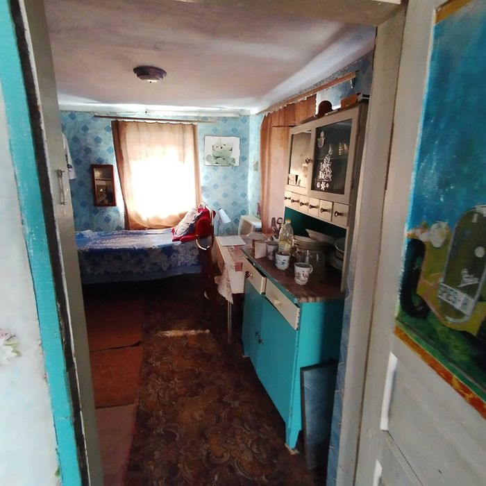 Продам будинок, с. Кінецьпіль