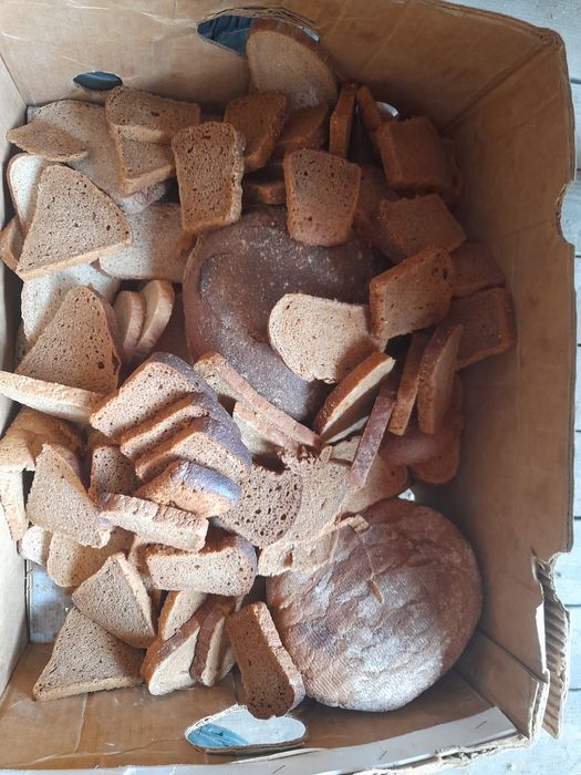 Хлеб на корм животним