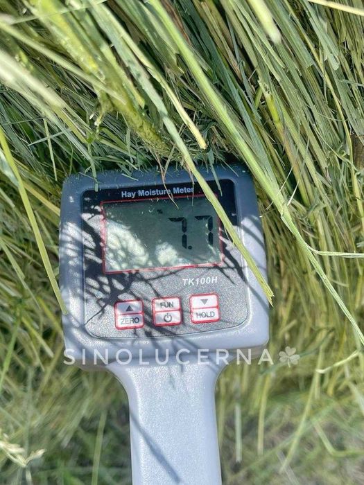 Сіно лугове різнотравʼя в круглих тюках. Укос 2025 року