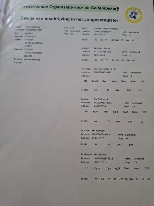 Sprzedam koze anglonubijska