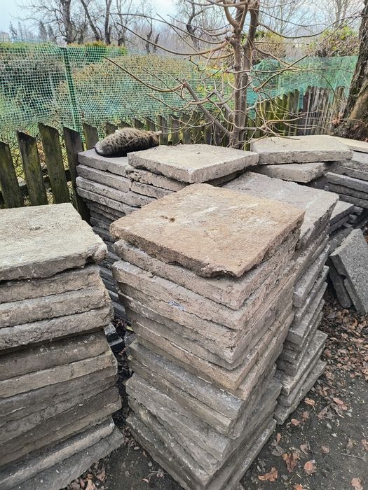 Płytki chodnikowe 50x50