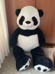 urso panda grande