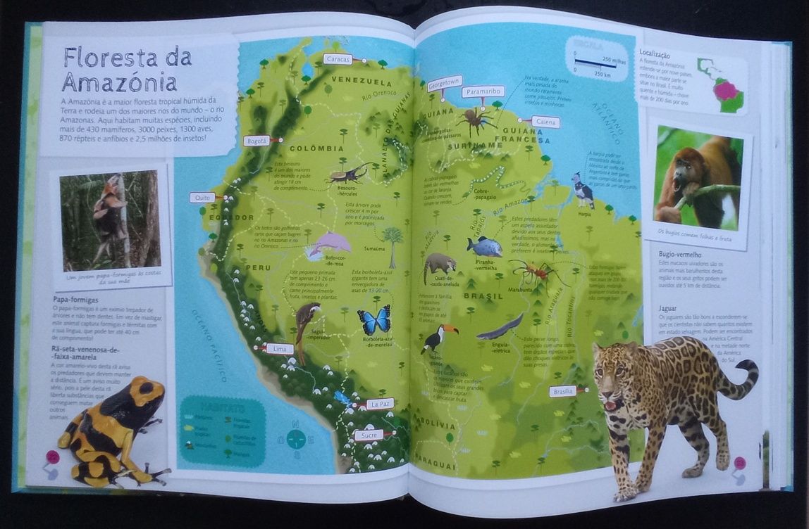 Atlas Ilustrado dos Animais