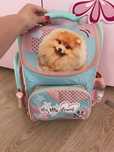 Tornister piekny