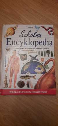 Encyklopedia szkolna