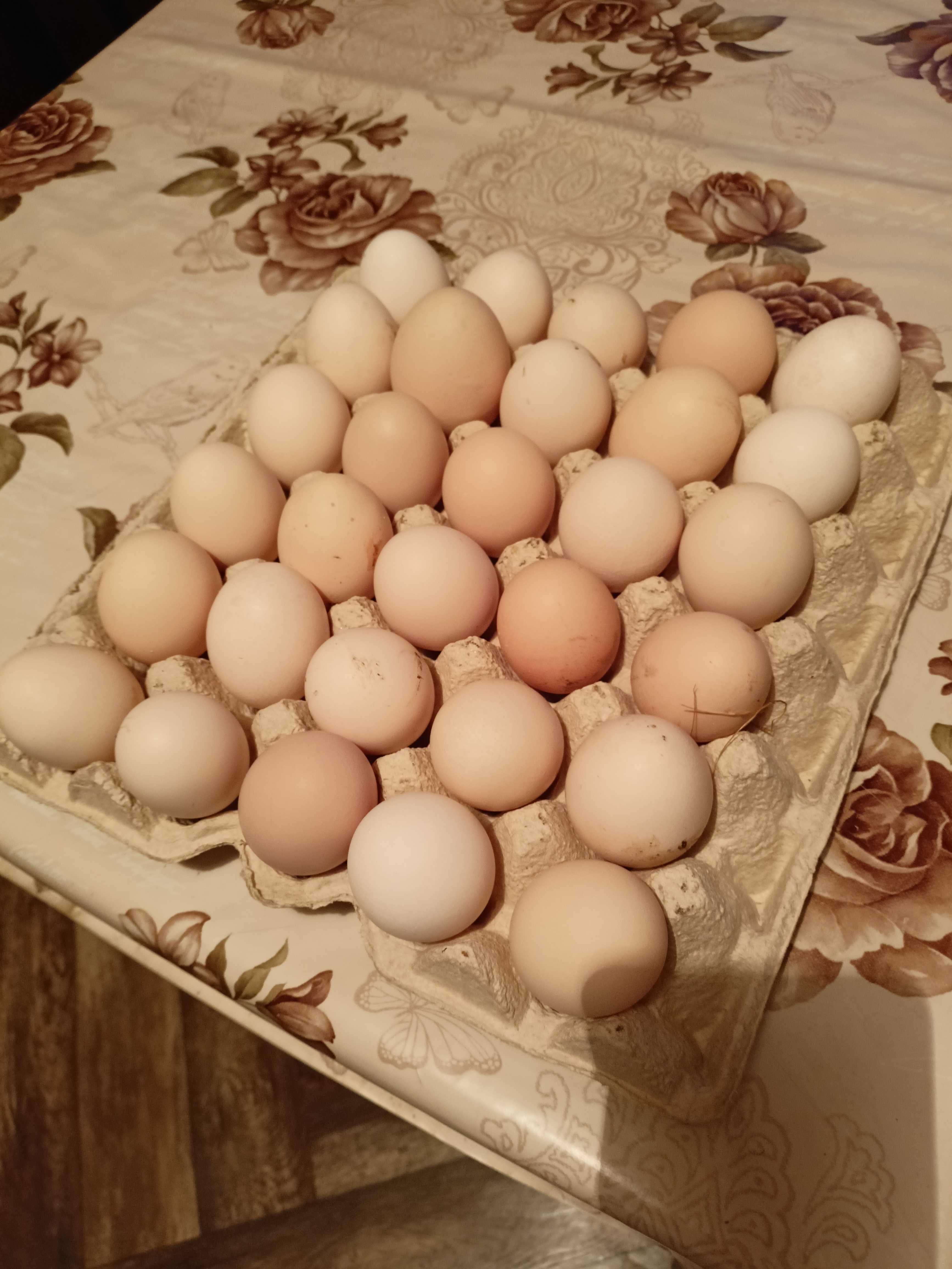 Sprzedaż swojskich jajek została wznowiona