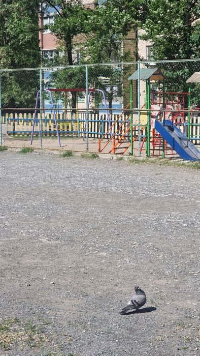 Продаж 3х кімнатної квартири 5 Зарічний