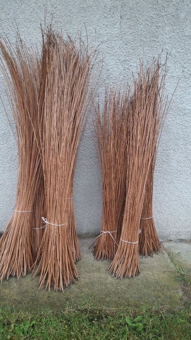 Wiklina 120 - 140 cm