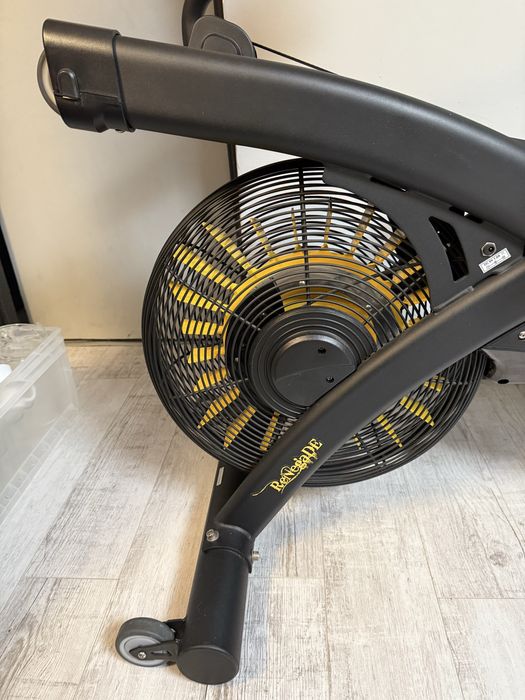 Ergometr wioślarski