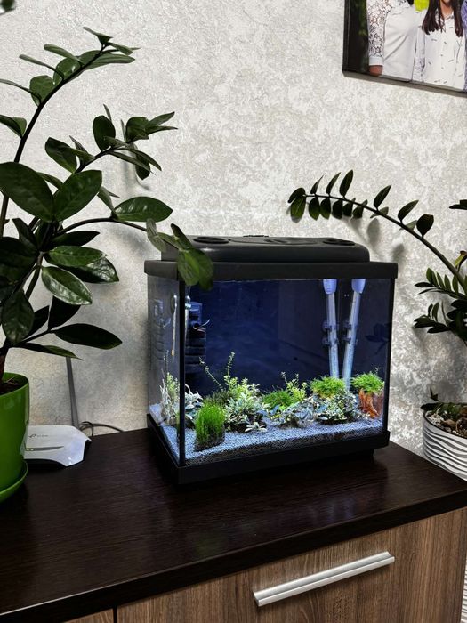 Акваріум креветочнік 35 лт запущений з всім необхідним.