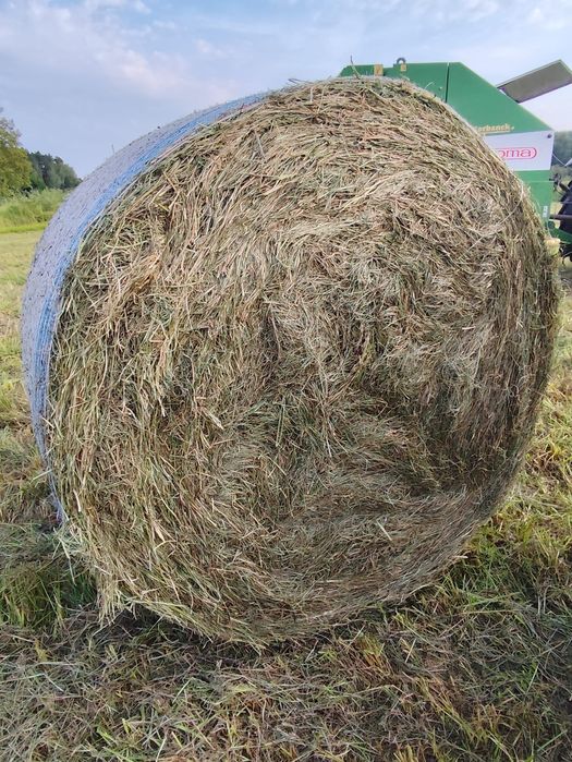 Siano Kosti i baloty