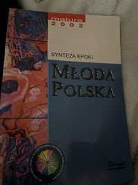 Synteza epoki mloda polska