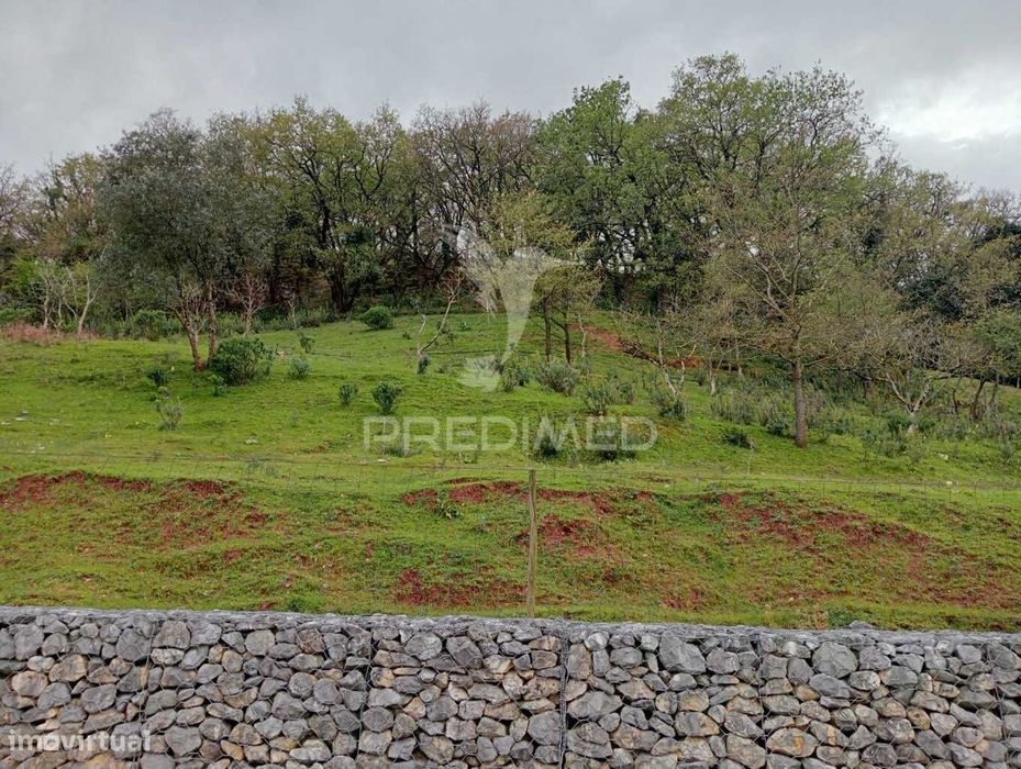 Lote Urbano para construção - Porto de Mós