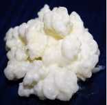 Flor/Grãos de kefir