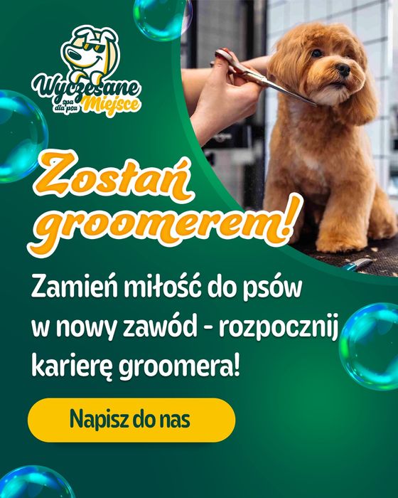 Podstawowy Kurs Groomerski