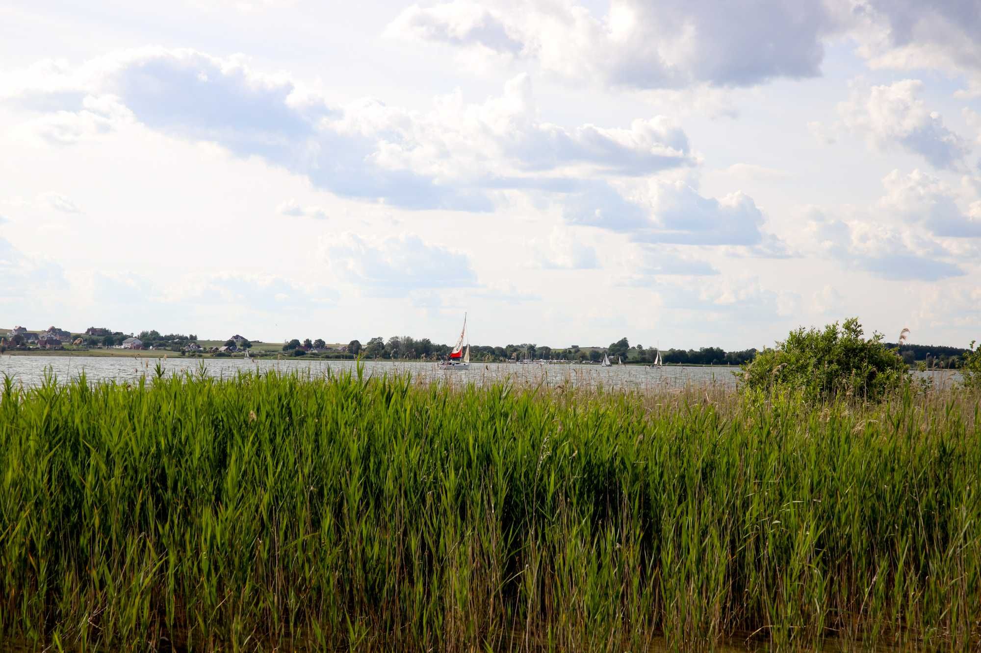 Domek nad jeziorem powidzkim - DARDOM