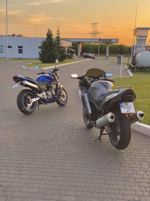 Honda cbr1100xx blackbird 2006