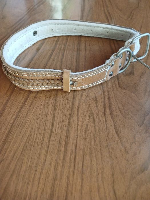Ошейник шкіряний для собак