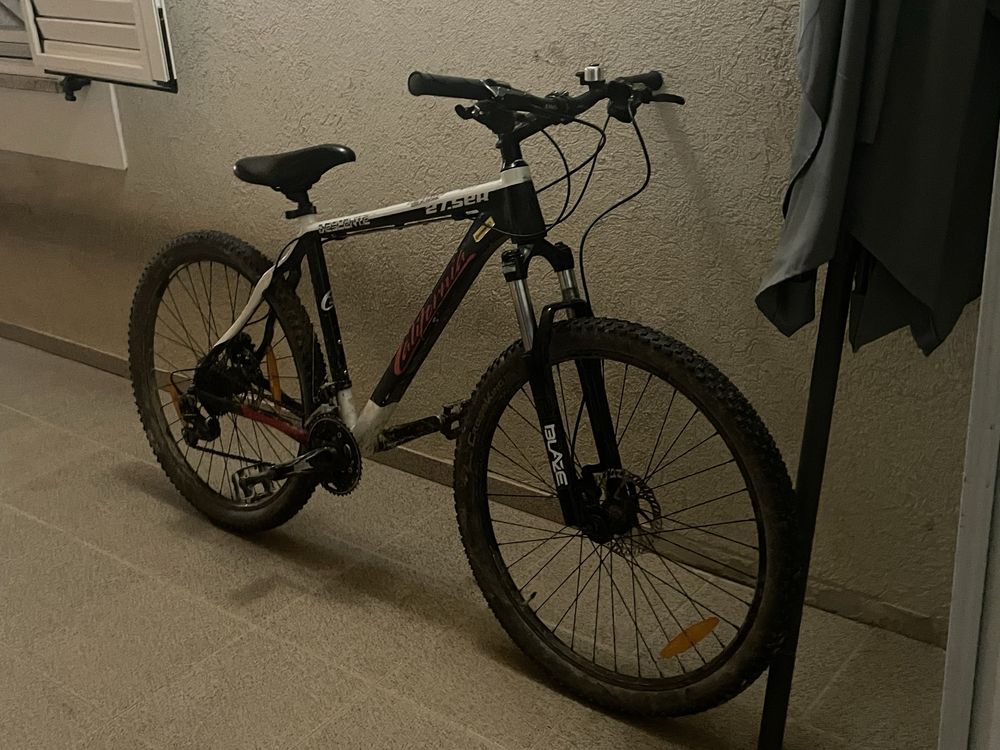 Bike california descente MTB