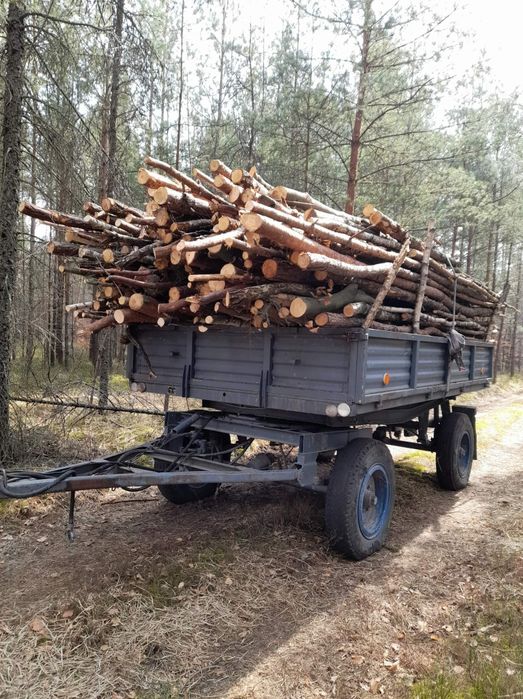 Okazja! Najniższe ceny! Drewno opałowe buk brzoza sosna
