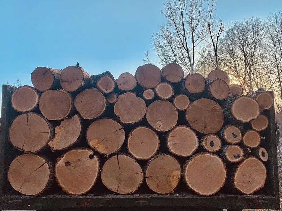Дрова  продам ДУБ,ясень,клён,СОСНА