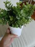 Plantas artificiais ikea