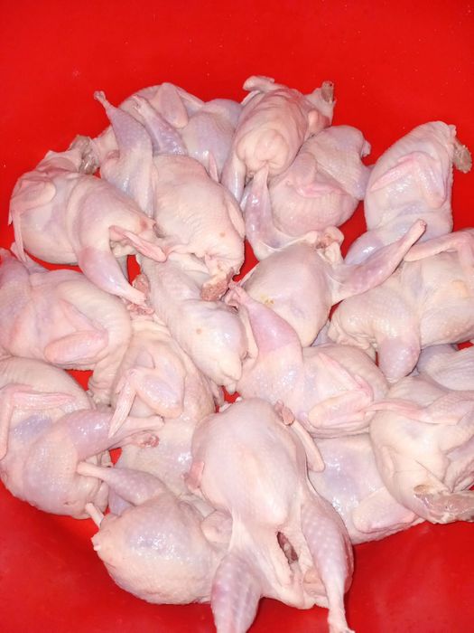 ПЕРЕПІЛКА мясо також тушками