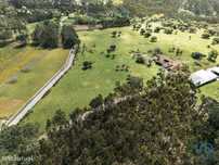 Terreno em Souto da Carpalhosa e Ortigosa de 161861,00 m2