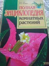 Энциклопедия комнатных растений