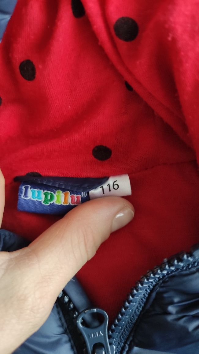 Kurtka wiosenna 116. Lidl