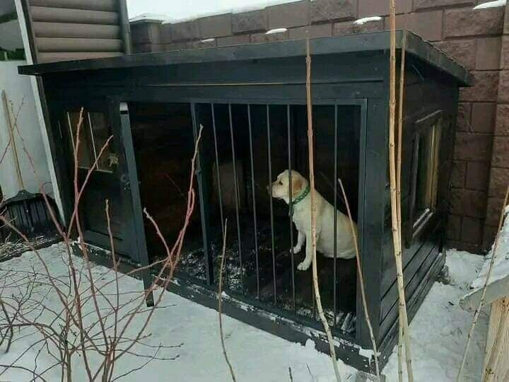 Виготовляємо вольєри