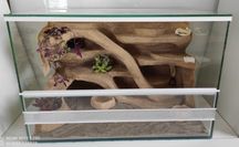 Terrarium dla gekona lamparciego z roślinami, TW36P2, AquaWaves
