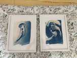 Quadros Kind of Cyan