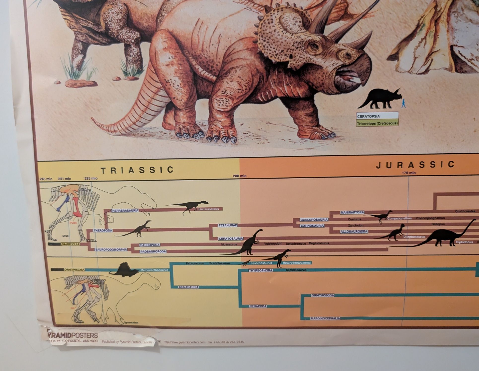 Plakat dinozaury dziecięcy do pokoju dziecięcego duży ponad A1