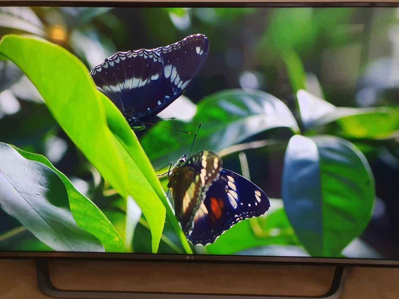 Telewizor LG ULTRA HD 4K 55'' UF800V