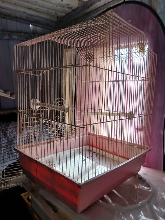 Gaiola para canario,ou periquito